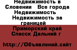 Недвижимость в Словении - Все города Недвижимость » Недвижимость за границей   . Приморский край,Спасск-Дальний г.
